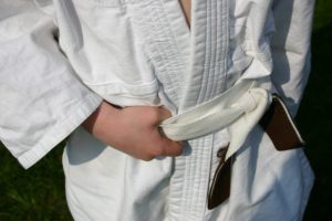 Artes marciales, judo, karate, entrenamiento, boxeo en https://www.electroestimulaciondeportiva.com/ Fuente imagen www.sxc.hu