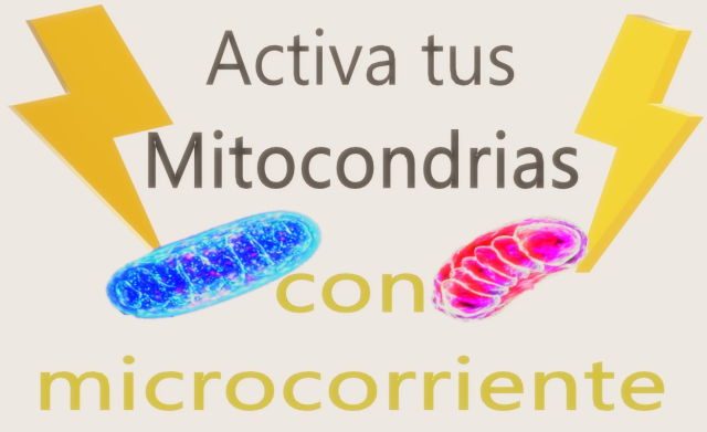 Microcorriente y regeneración mitocondrial